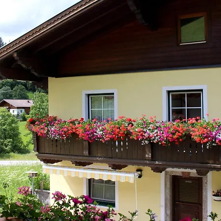 Gleiminger Apartment *